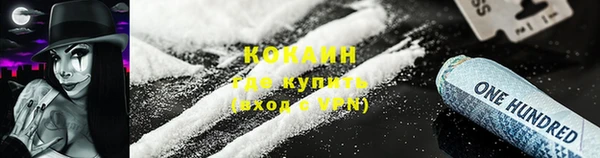 прущие грибы Армянск