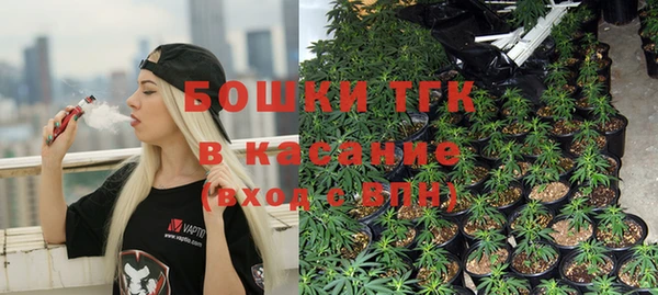 гидра Пересвет