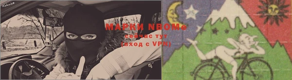 прущие грибы Армянск