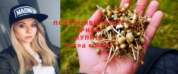 mix Аркадак